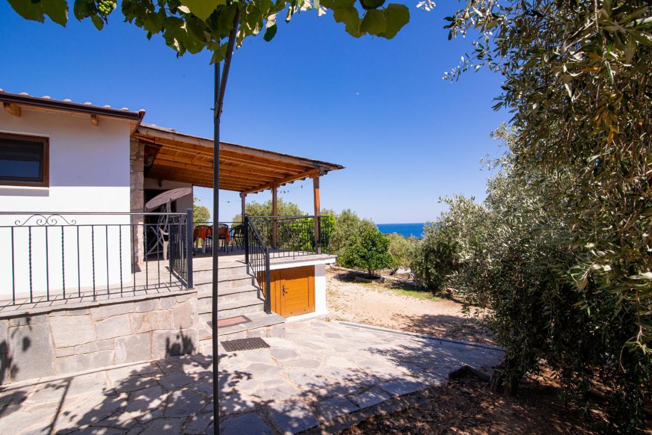 Archodissa Villa Thimonia Екстериор снимка
