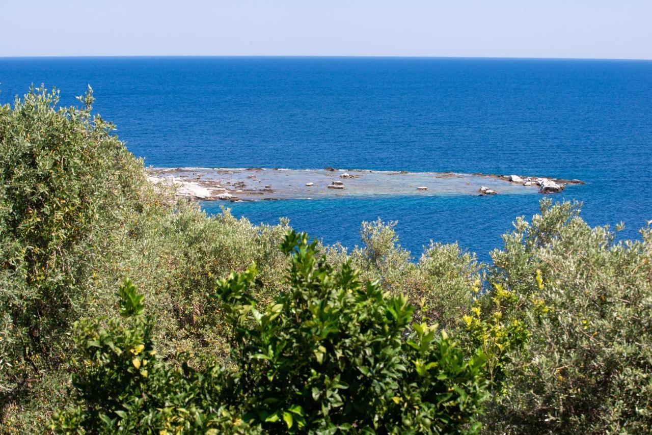 Archodissa Villa Thimonia Екстериор снимка